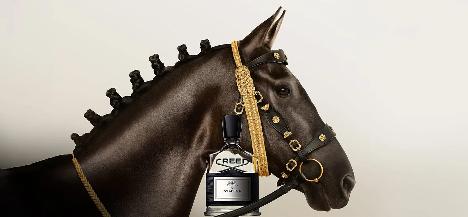 A dark horse in profile, mane plaited into knots, the Aventus bottle suspended from its bridle of black leather and braided gold