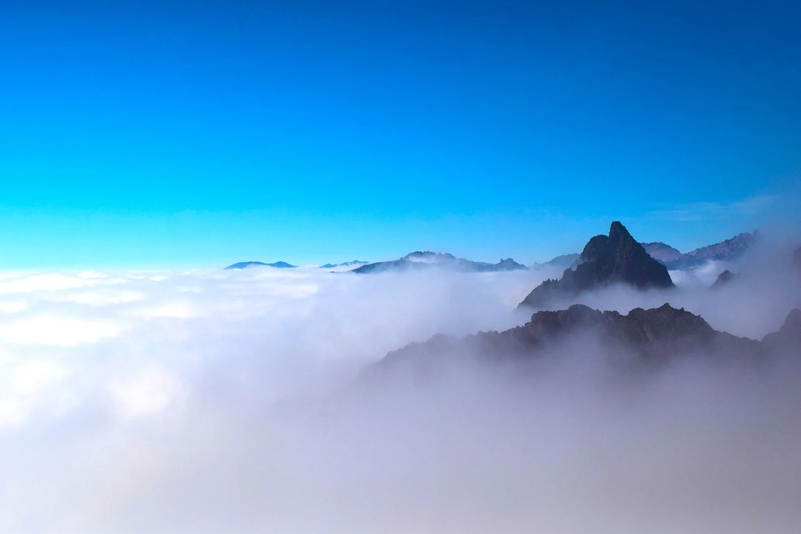 A dark summit breaking through a brilliant sea of cloud under hard blue morning light — the world's ceiling turned to floor