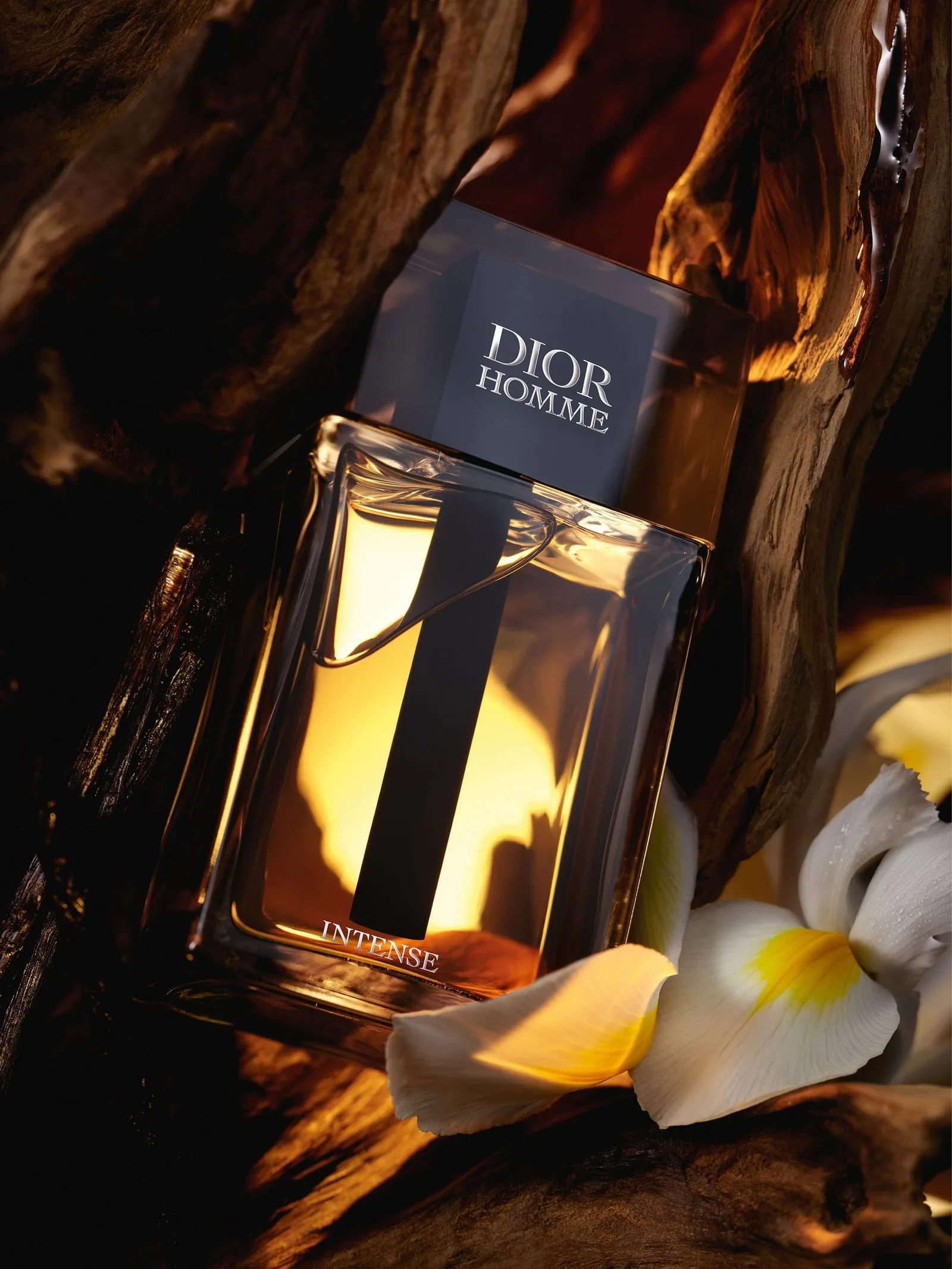 The flacon reclines in a hollow of dark driftwood, its amber heart lit from within like a lantern, dew-beaded iris petals resting pale and gold at its foot